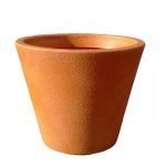 Саксија Џез Средна M