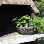 Саксија Чекер S