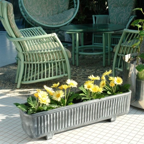 Саксија Нуша Голема L