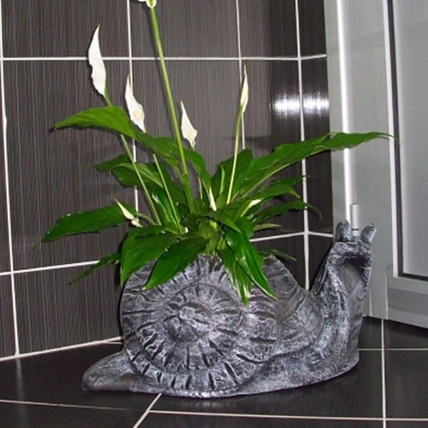 Саксија Полжав Мал