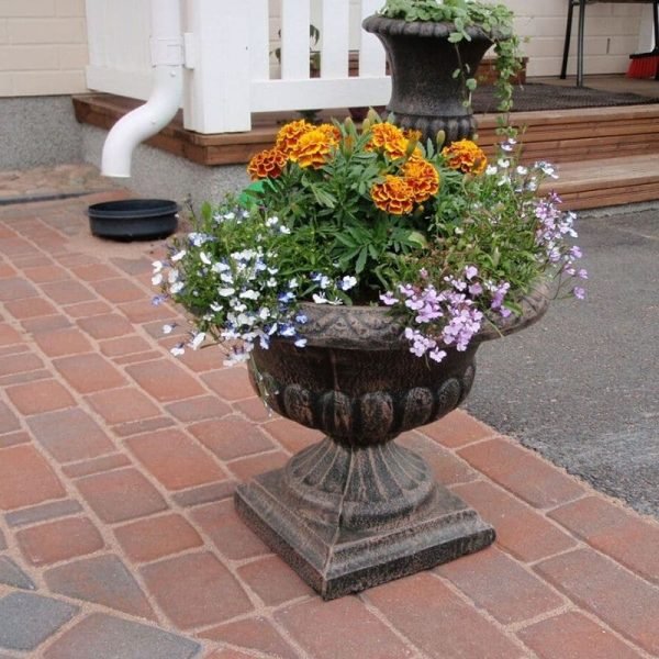 Саксија Вазна Средна M