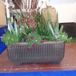 Саксија Нуша Макси XL