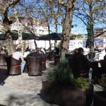 Саксија Нуша Макси XL