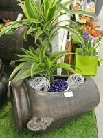 Саксија Амфора