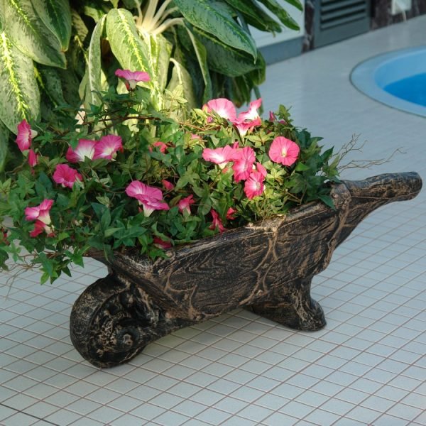 Саксија Количка