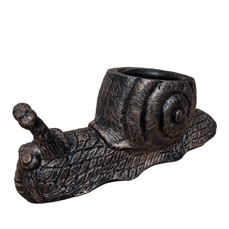 Саксија Полжав Голем