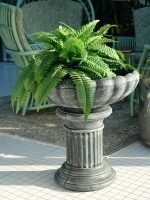 Саксија Маријетица М