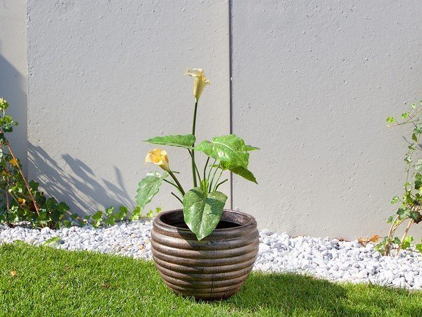 Саксија Модерно M