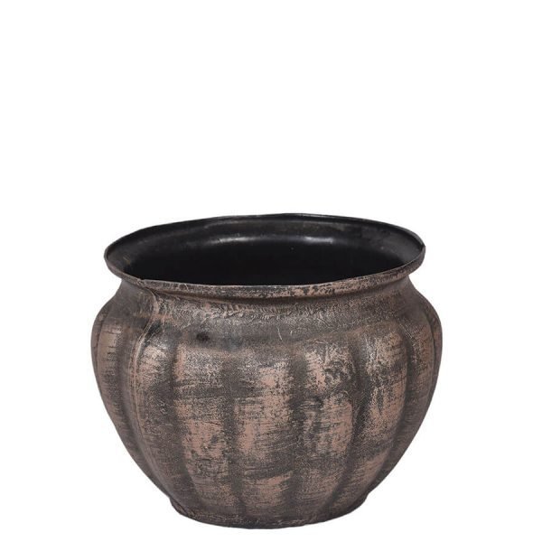 Саксија Ѕвонче L