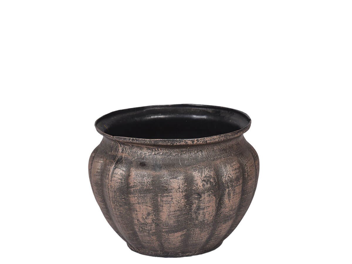 Саксија Ѕвонче L