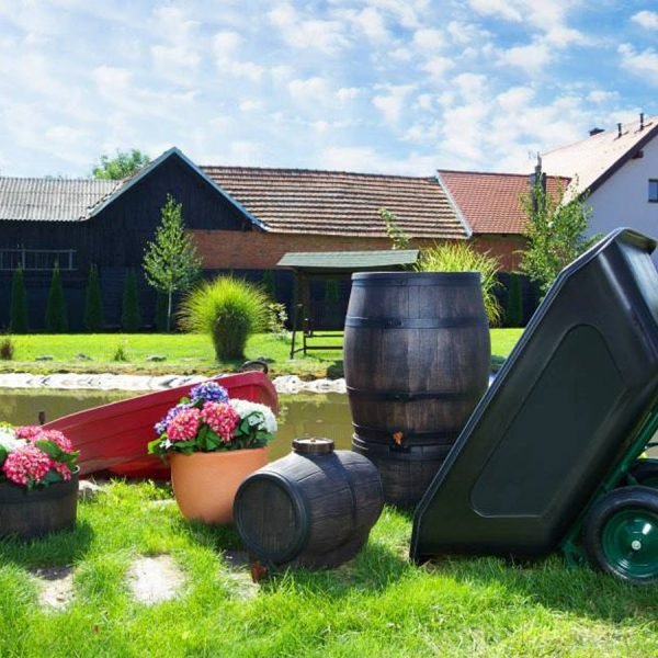 Саксија Румба Голема L