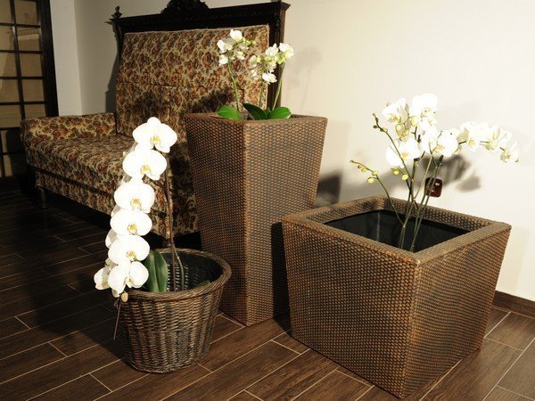 Саксија Кошница Плетено