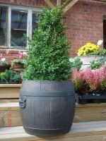 Саксија Буренце Средно M