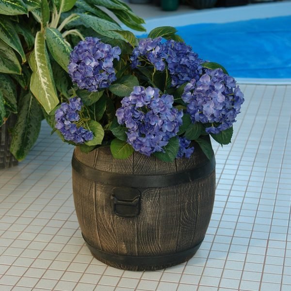 Саксија Буренце Средно M