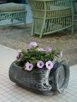 Саксија Амфора