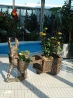 Декоративна Фигура Магаре Големо