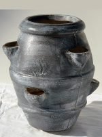 Саксија Петрашилник