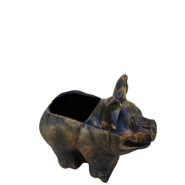 Саксија Прасе