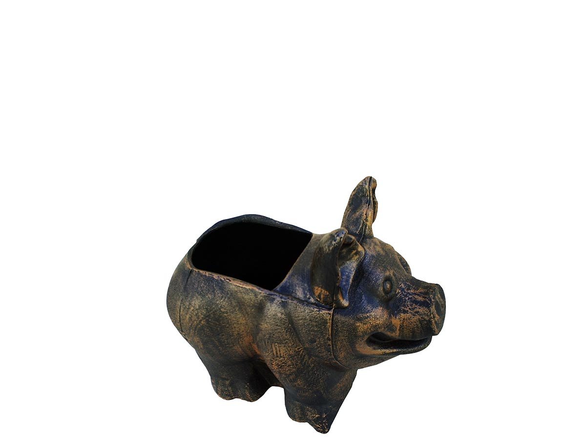 Саксија Прасе