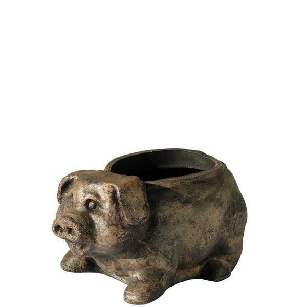 Саксија Свиња