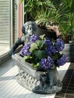 Саксија Момче со Количка