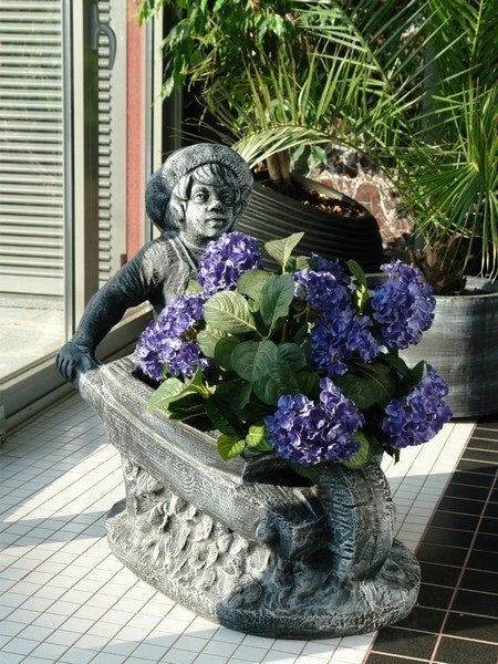 Саксија Момче со Количка