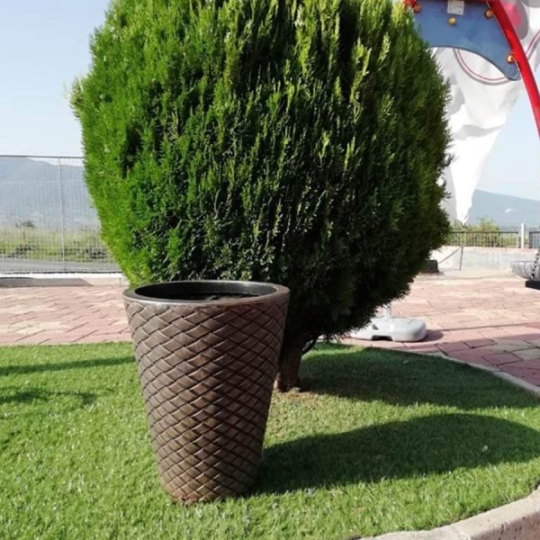 Саксија Латино Средна M