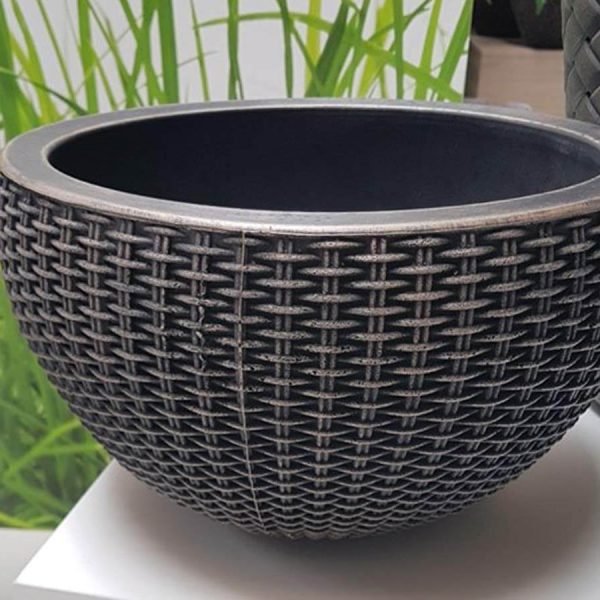 Саксија Бамбус