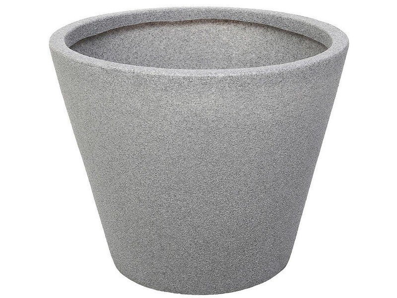 Саксија Џез Голема L