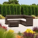 Сет Небраска Аголна - Image 2