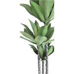 Вештачко растение алое