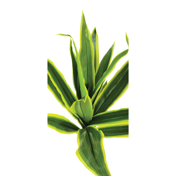 Вештачко растение јука