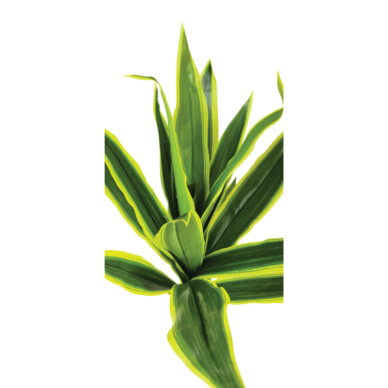 Вештачко растение јука