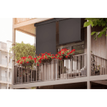 Роло завеса со рачка