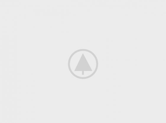 wood-gallery-placeholder-5
