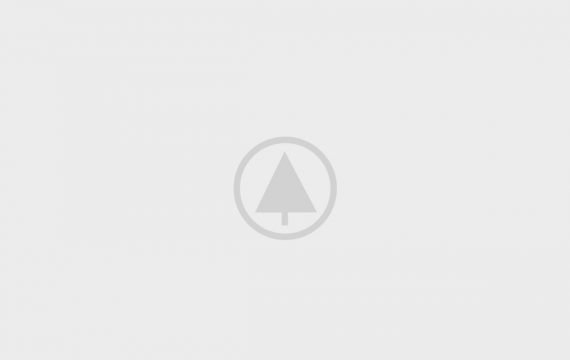 wood-gallery-placeholder-5