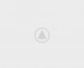 wood-portfolio-placeholder