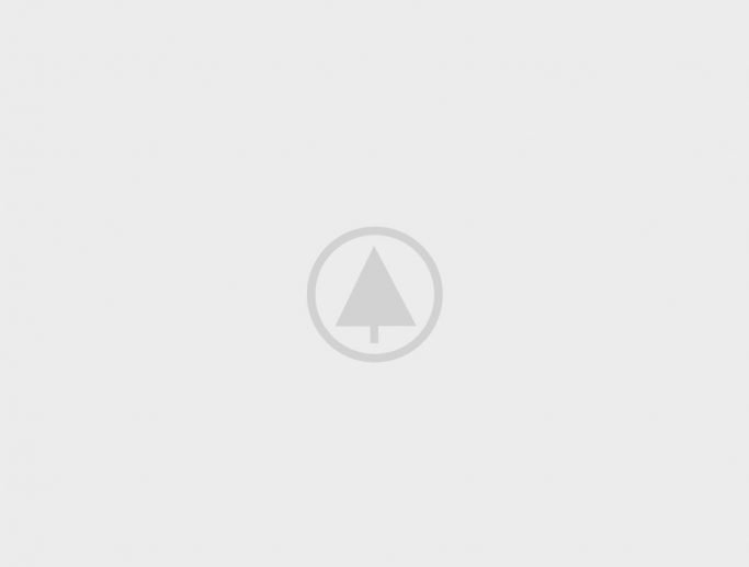 wood-portfolio-placeholder