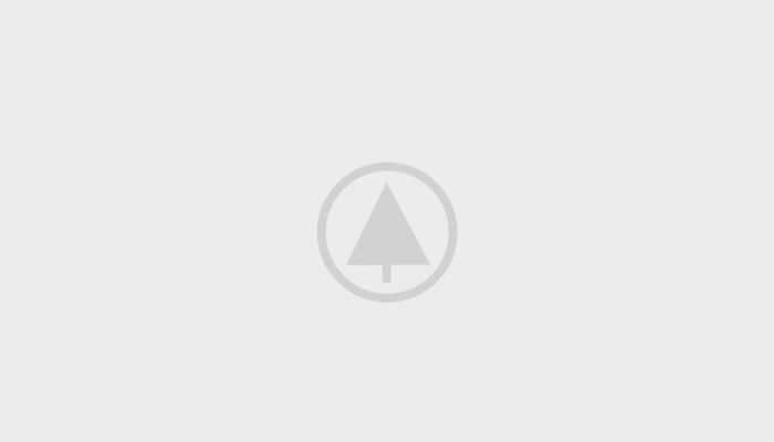 wood-portfolio-placeholder